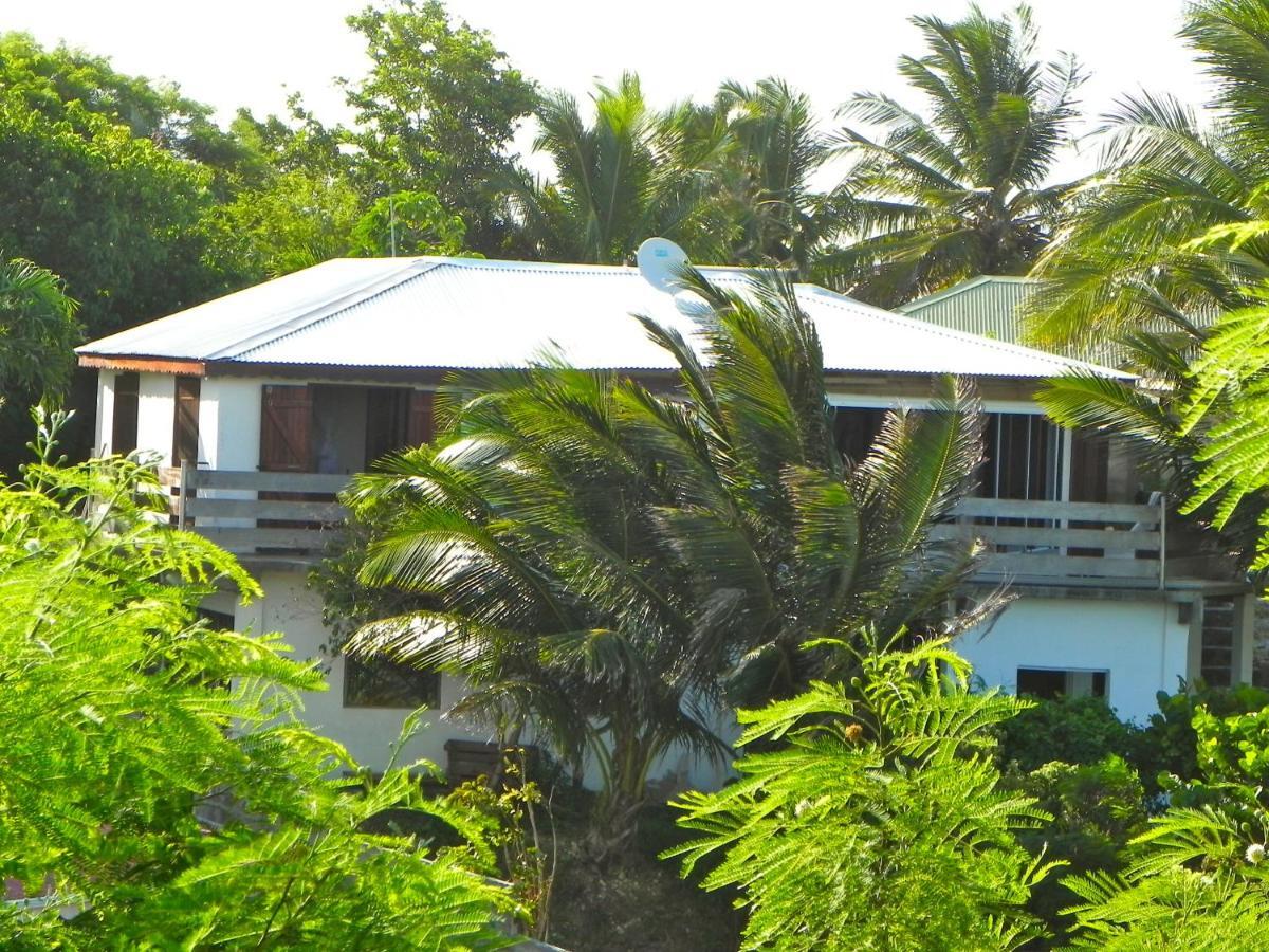 Wild Paradise: Villa vue mer piscine à débordement Le Moule Exterior foto